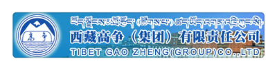 西藏高爭（集團(tuán)）有限責(zé)任公司